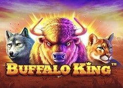 Buffalo King True Fortune Casino Slot