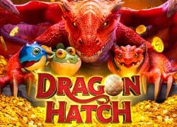 Dragon Hatch True Fortune Casino Game