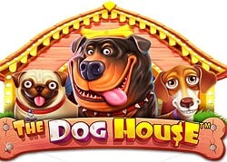 Dog House True Fortune Casino Game